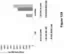 Fig. 27 - Isolated B7-H4 specific compositions and methods of use thereof