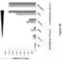 Fig. 28 - Isolated B7-H4 specific compositions and methods of use thereof