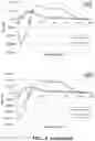 Fig. 18 - ANTIMICROBIAL PEPTIDES AND METHODS OF TREATING GRAM-NEGATIVE PATHOGENS