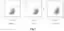 Fig. 02 - CACNA1H-derived tumor antigen polypeptide and use thereof