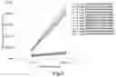 Fig. 03 - CACNA1H-derived tumor antigen polypeptide and use thereof
