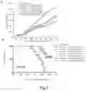 Fig. 04 - CACNA1H-derived tumor antigen polypeptide and use thereof