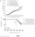 Fig. 05 - CACNA1H-derived tumor antigen polypeptide and use thereof