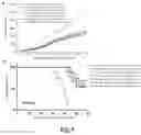 Fig. 06 - CACNA1H-derived tumor antigen polypeptide and use thereof