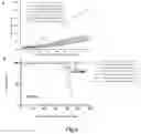 Fig. 07 - CACNA1H-derived tumor antigen polypeptide and use thereof