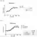 Fig. 04 - Dual function proteins comprising FGF21 mutant protein and pharmaceutical composition comprising same