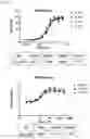 Fig. 14 - Dual function proteins comprising FGF21 mutant protein and pharmaceutical composition comprising same