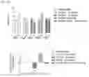 Fig. 18 - Dual function proteins comprising FGF21 mutant protein and pharmaceutical composition comprising same