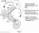 Fig. 02 - TNF-TYPE RECEPTOR-LIGAND FUSION PROTEINS AND METHODS