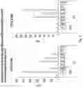 Fig. 06 - TNF-TYPE RECEPTOR-LIGAND FUSION PROTEINS AND METHODS