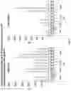 Fig. 07 - TNF-TYPE RECEPTOR-LIGAND FUSION PROTEINS AND METHODS