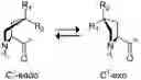 Fig. 01 - Collagen mimics