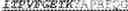 Fig. 22 - Methods of treating HIV-1 infection utilizing broadly neutralizing human immunodeficiency virus type 1 (HIV-1) GP120-specific monoclonal antibodies