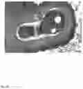 Fig. 09 - Antibody