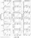 Fig. 12 - Antibody