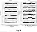 Fig. 06 - Heterodimeric proteins and preparation method thereof