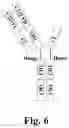 Fig. 07 - Heterodimeric proteins and preparation method thereof