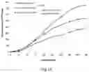 Fig. 15 - Alpha-synuclein antibodies