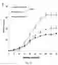 Fig. 20 - Alpha-synuclein antibodies