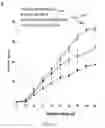 Fig. 21 - Alpha-synuclein antibodies