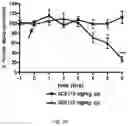 Fig. 23 - Alpha-synuclein antibodies