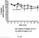 Fig. 24 - Alpha-synuclein antibodies