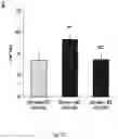 Fig. 26 - Alpha-synuclein antibodies