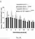 Fig. 28 - Alpha-synuclein antibodies