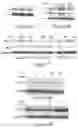 Fig. 05 - Methods of treating cancer using anti-LRP1 polyclonal antibodies