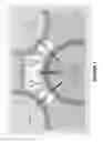 Fig. 02 - Chimeric antigen receptors (CARs), compositions and methods thereof