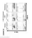 Fig. 05 - Chimeric antigen receptors (CARs), compositions and methods thereof