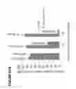 Fig. 117 - Chimeric antigen receptors (CARs), compositions and methods thereof