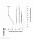 Fig. 119 - Chimeric antigen receptors (CARs), compositions and methods thereof
