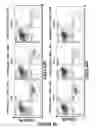 Fig. 13 - Chimeric antigen receptors (CARs), compositions and methods thereof