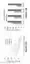 Fig. 131 - Chimeric antigen receptors (CARs), compositions and methods thereof