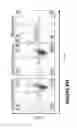 Fig. 147 - Chimeric antigen receptors (CARs), compositions and methods thereof