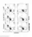 Fig. 159 - Chimeric antigen receptors (CARs), compositions and methods thereof
