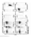 Fig. 173 - Chimeric antigen receptors (CARs), compositions and methods thereof