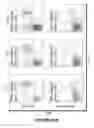 Fig. 177 - Chimeric antigen receptors (CARs), compositions and methods thereof