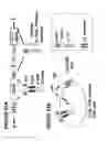 Fig. 187 - Chimeric antigen receptors (CARs), compositions and methods thereof