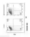 Fig. 217 - Chimeric antigen receptors (CARs), compositions and methods thereof