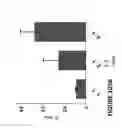 Fig. 219 - Chimeric antigen receptors (CARs), compositions and methods thereof