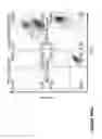 Fig. 229 - Chimeric antigen receptors (CARs), compositions and methods thereof