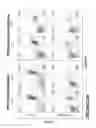 Fig. 31 - Chimeric antigen receptors (CARs), compositions and methods thereof