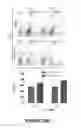 Fig. 35 - Chimeric antigen receptors (CARs), compositions and methods thereof