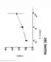 Fig. 36 - Chimeric antigen receptors (CARs), compositions and methods thereof