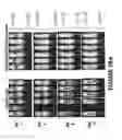 Fig. 45 - Chimeric antigen receptors (CARs), compositions and methods thereof