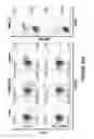 Fig. 52 - Chimeric antigen receptors (CARs), compositions and methods thereof