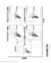 Fig. 56 - Chimeric antigen receptors (CARs), compositions and methods thereof
