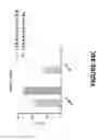 Fig. 60 - Chimeric antigen receptors (CARs), compositions and methods thereof